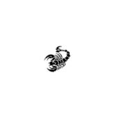 Šablona na tetovanie - škorpion A