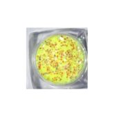 Malý hexagon exclusiv s glitrom -žltý neon