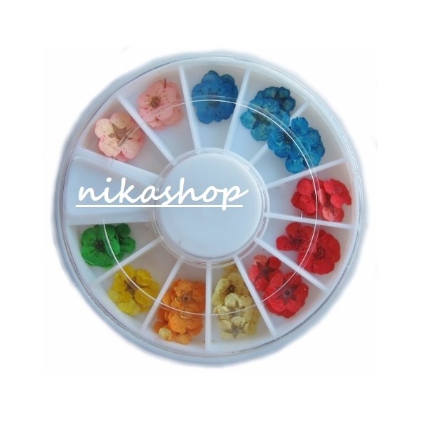 Karusel sušených kvietkov B Karusel sušených kvietkov B