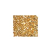 Kamienky zlaté okrúhle-8883